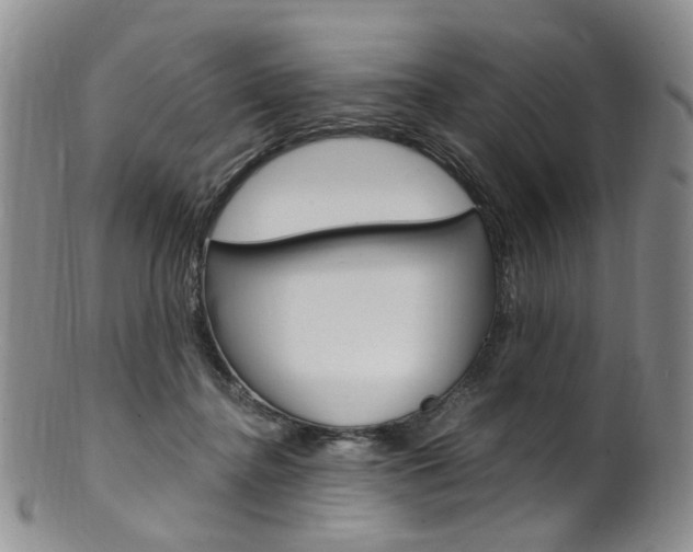 X0000101650364200807100945