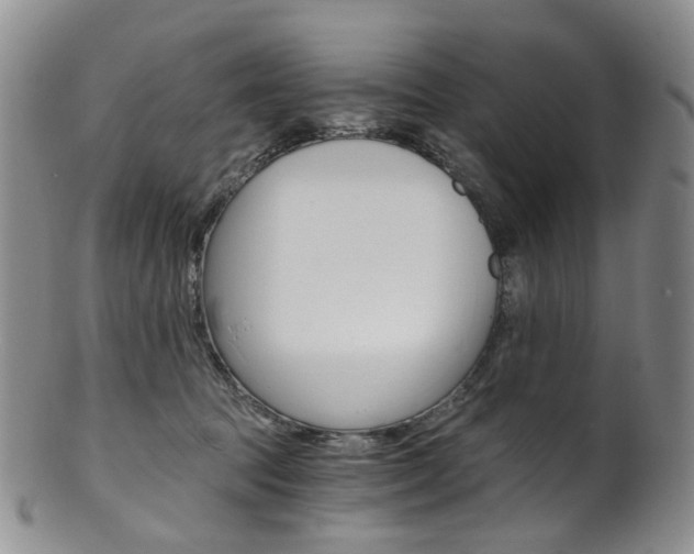 X0000101650369200807100946