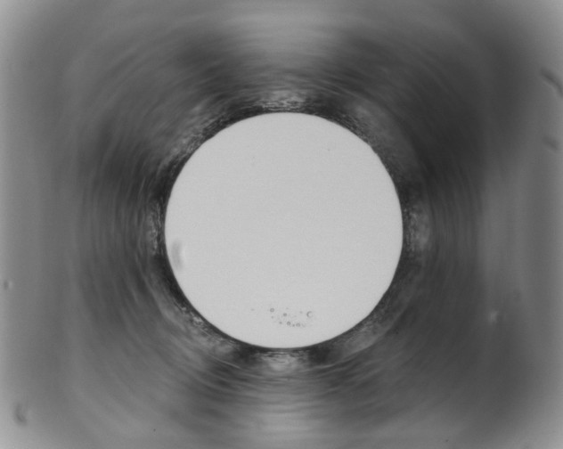 X0000101650370200807100946