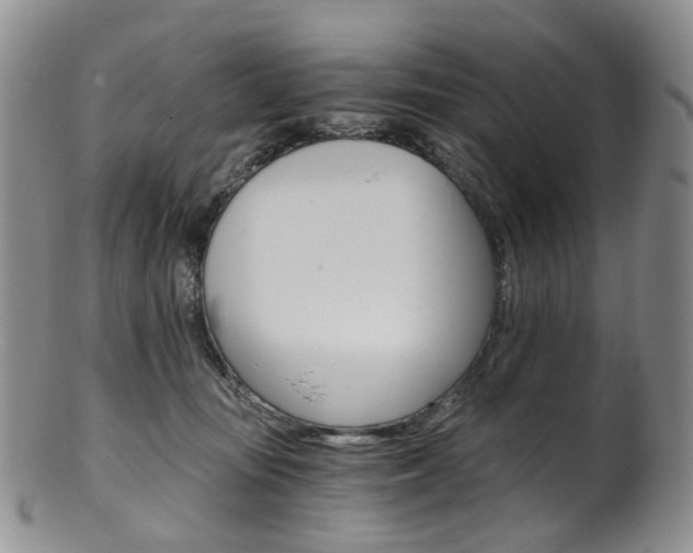 X0000101650371200807100946