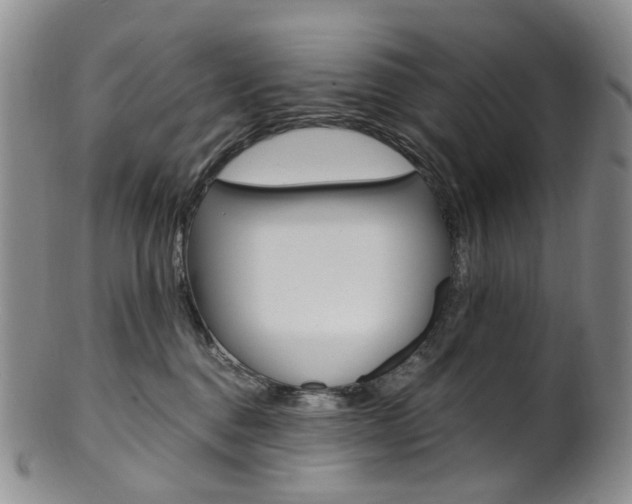 X0000101650376200807100946
