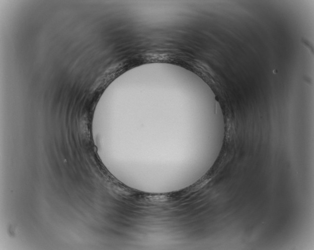 X0000101650377200807100946