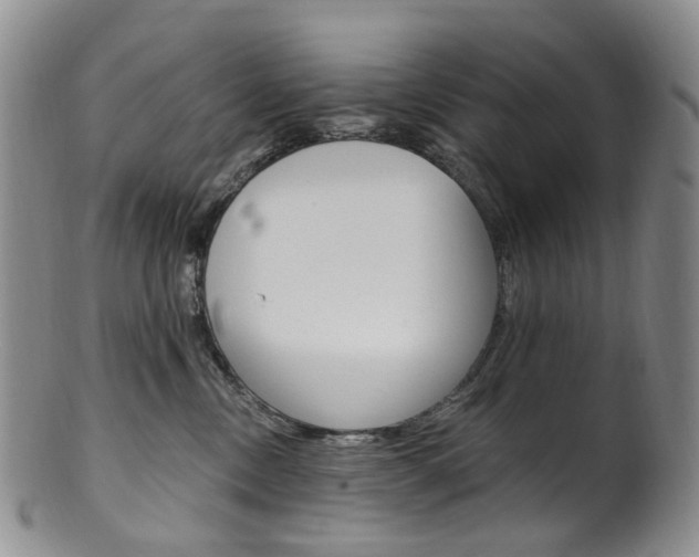 X0000101650378200807100946