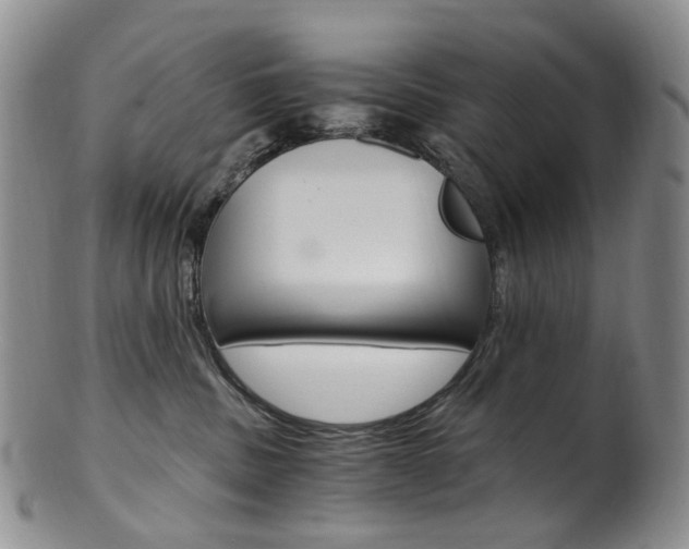 X0000101650379200807100946