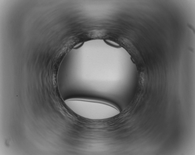 X0000101650380200807100946