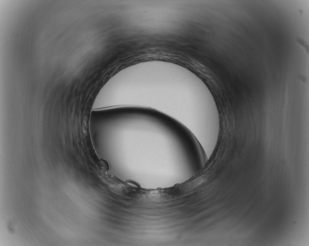 X0000101650382200807100946