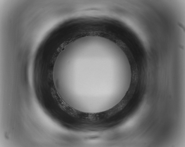 X0000101650383200807100946