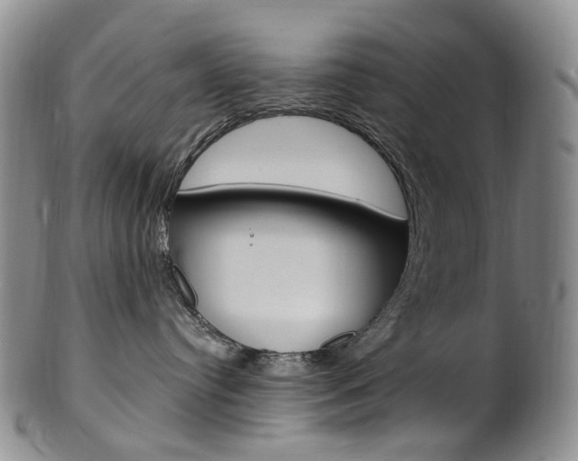 X0000101650384200807100946