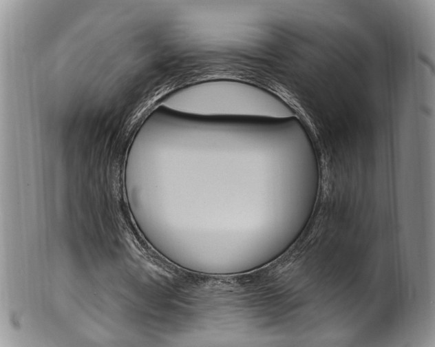 X0000101650386200807100945