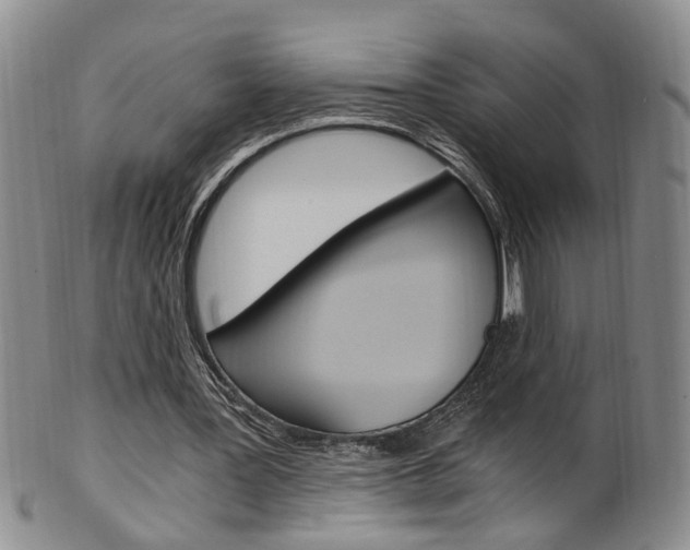 X0000101650387200807100945