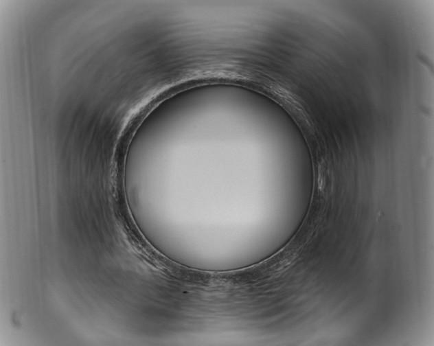 X0000101650388200807100945