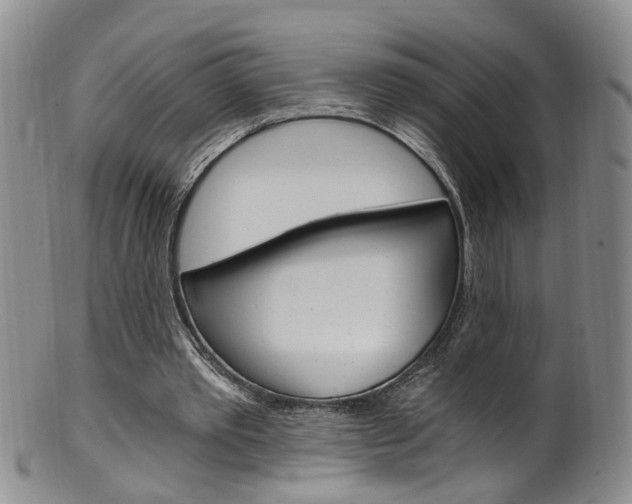 X0000101650389200807100945