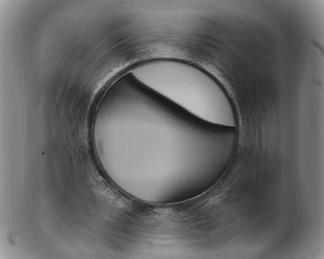 X0000101650391200807100945