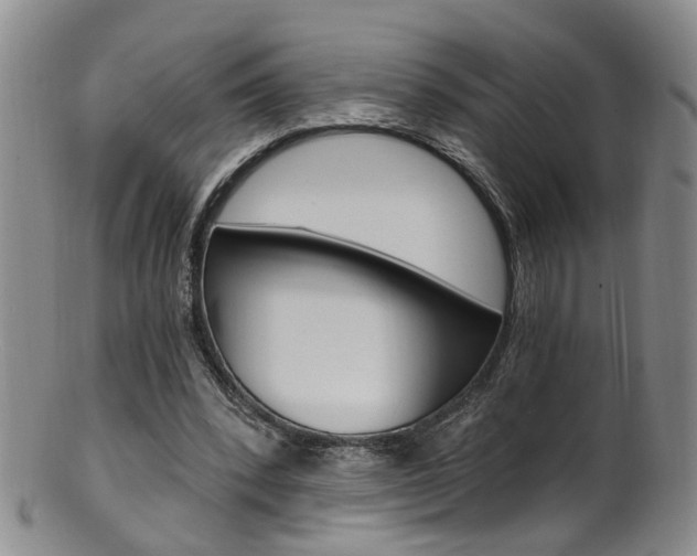 X0000101650392200807100945