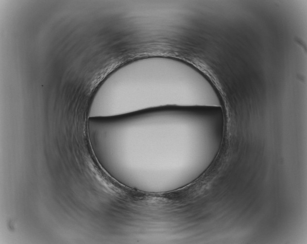 X0000101650393200807100945