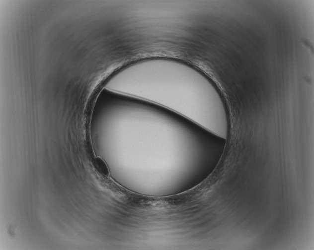 X0000101650395200807100945
