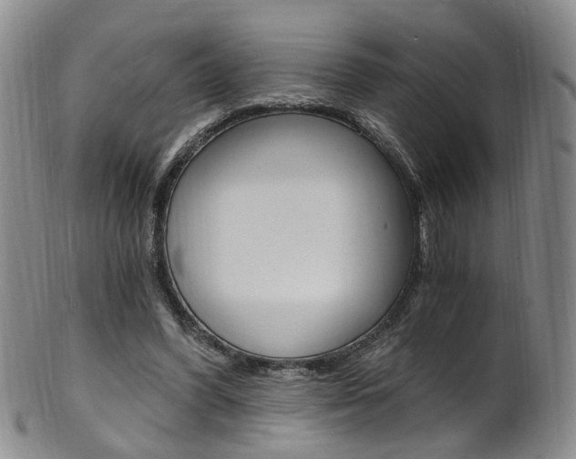 X0000101650396200807100945