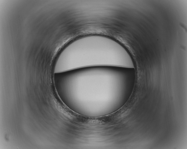 X0000101650399200807100945