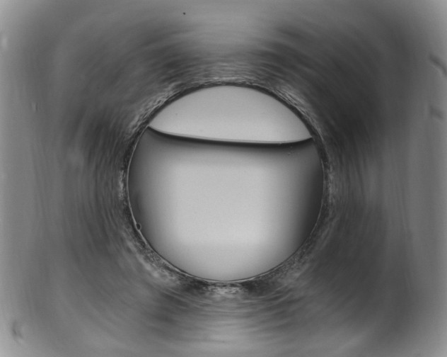 X0000101650401200807100945