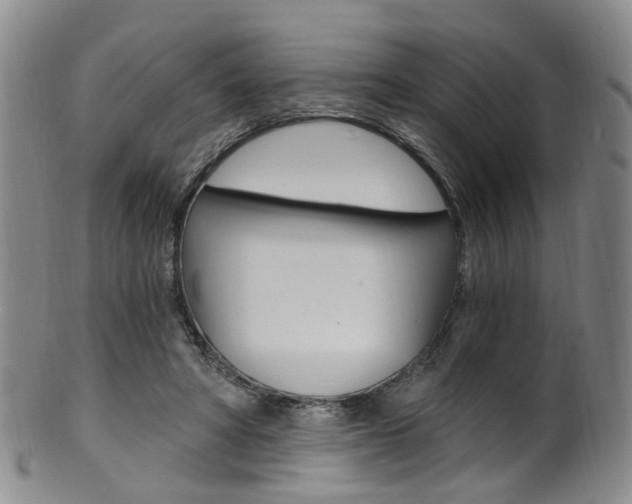X0000101650402200807100945