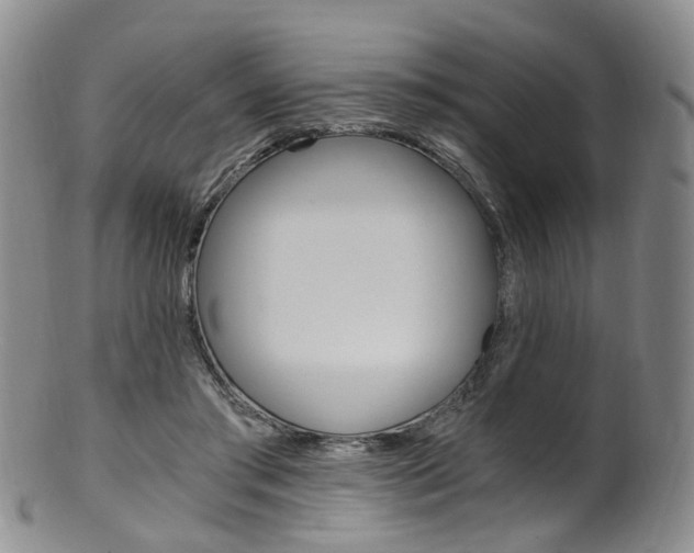 X0000101650405200807100945