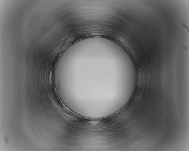 X0000101650406200807100945