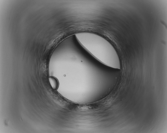 X0000101650407200807100945
