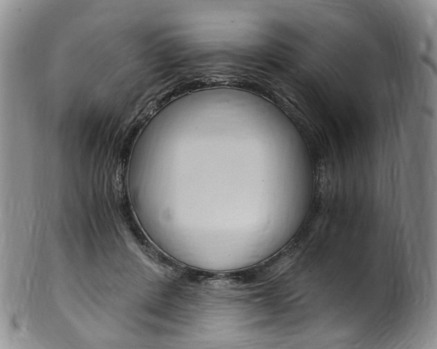 X0000101650408200807100945