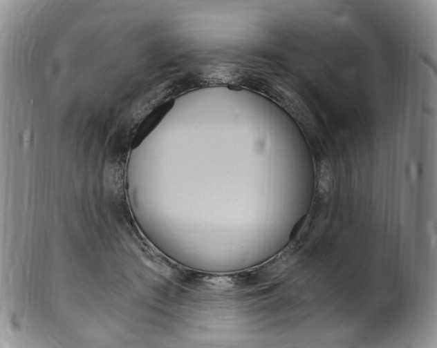 X0000101650409200807100945