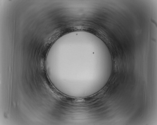 X0000101650410200807100945