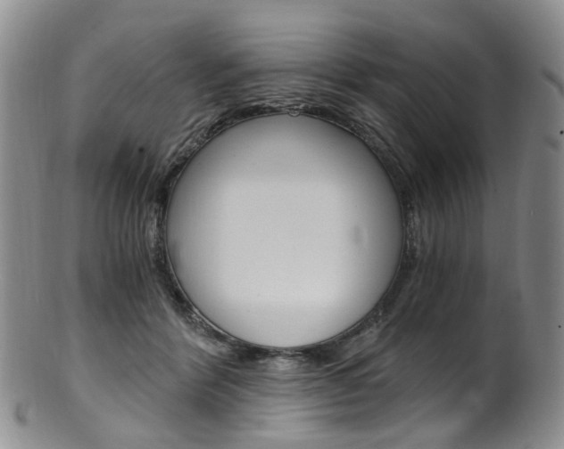 X0000101650412200807100944