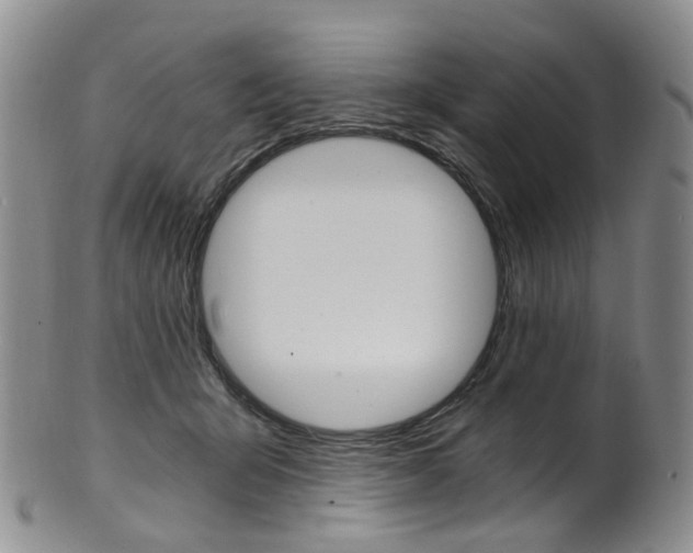 X0000101650415200807100944