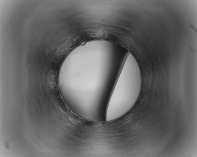 X0000101650416200807100944