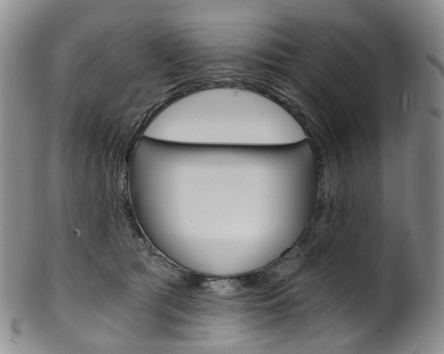 X0000101650417200807100944