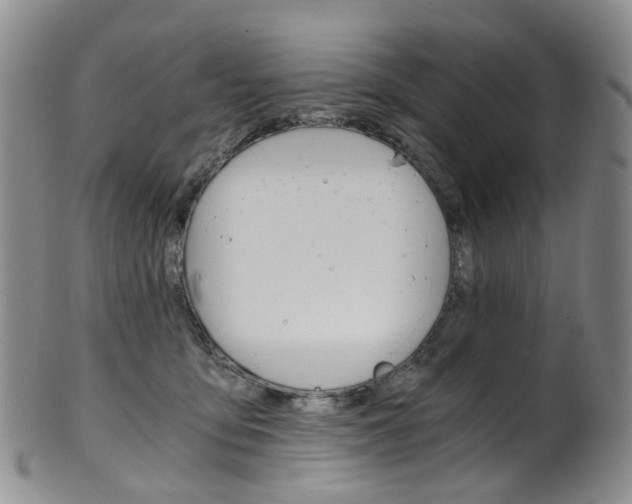 X0000101650419200807100944