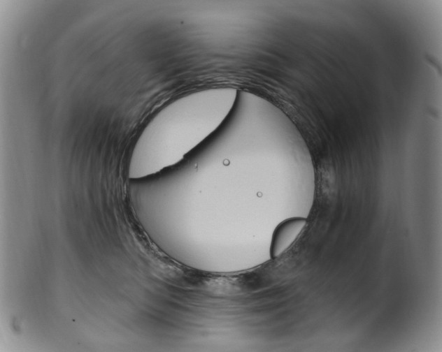 X0000101650422200807100944
