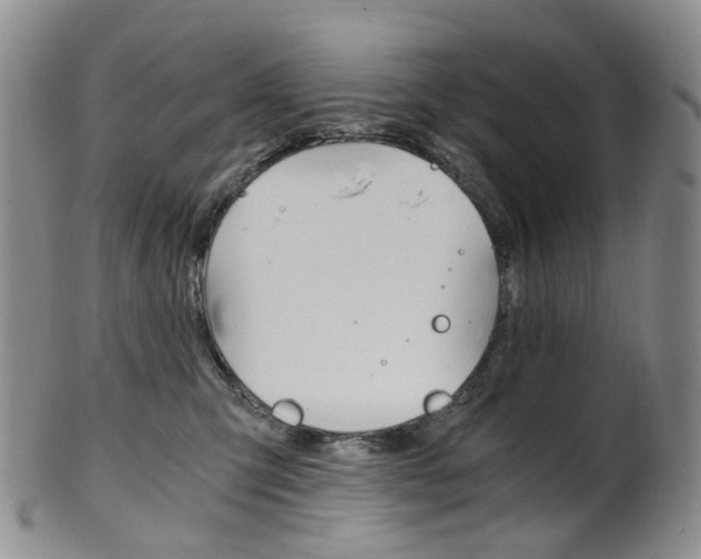 X0000101650423200807100944