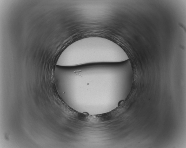 X0000101650425200807100944
