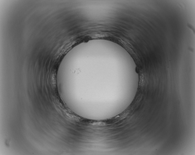 X0000101650426200807100944