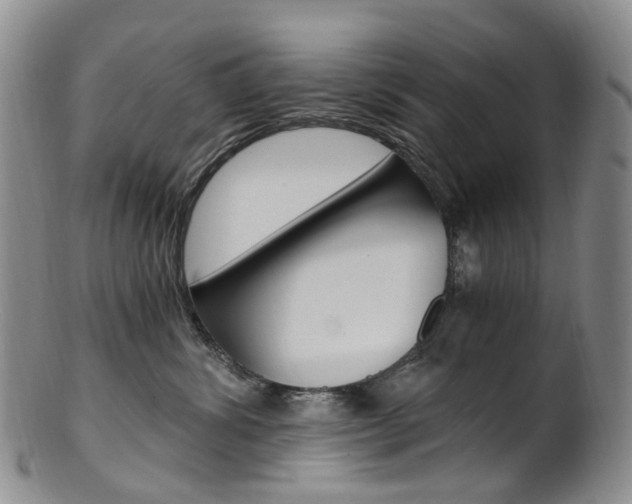 X0000101650428200807100944