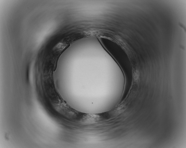 X0000101650429200807100944
