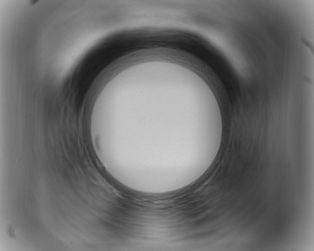 X0000101650431200807100944