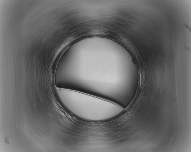 X0000101650435200807100944