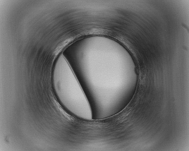 X0000101650437200807100944