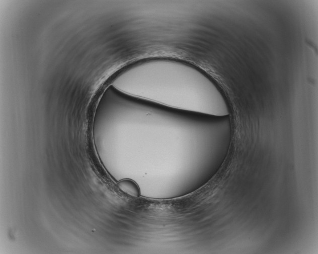 X0000101650440200807100944