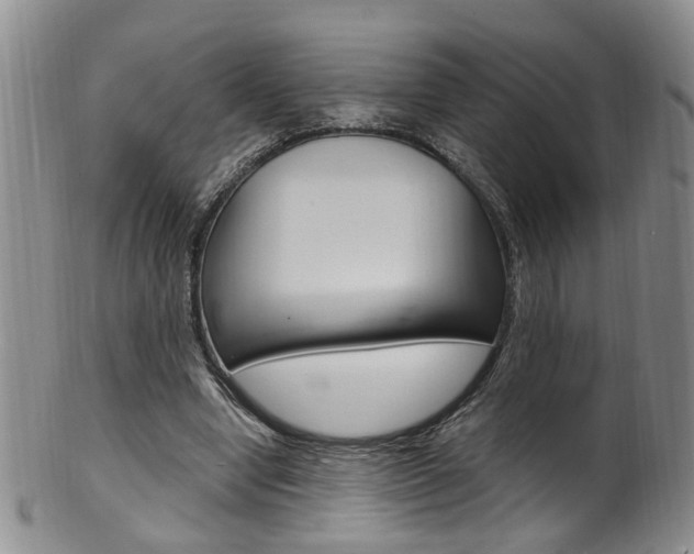 X0000101650442200807100944