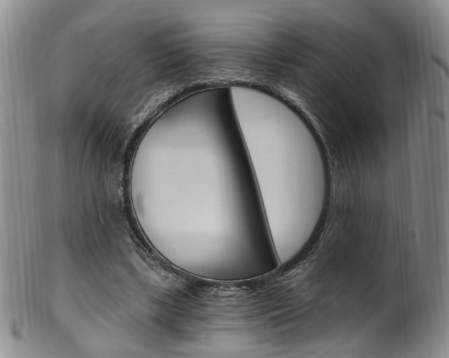 X0000101650443200807100944