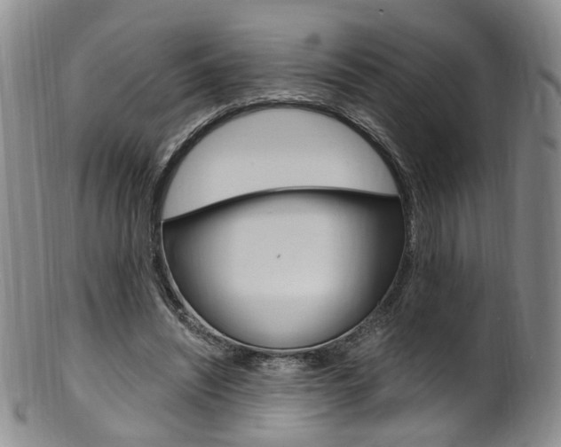 X0000101650444200807100944
