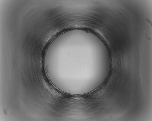 X0000101650447200807100944