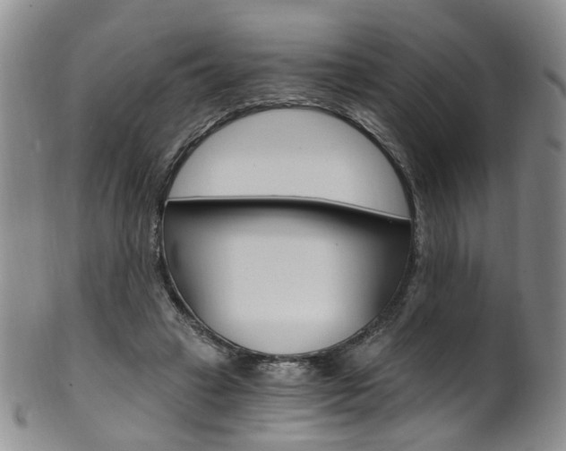 X0000101650449200807100944